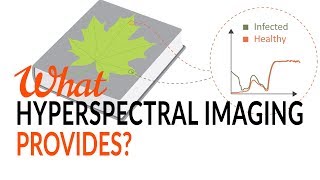 What Hyperspectral Imaging provides  Tutorial