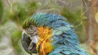 Download Lagu relaxing music, relaxing music video download, relaxing sleeping music mp3 download MP3