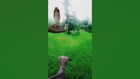 Kinemaster Editing video by Vfx 🐍 snake bhola baba de de not#funny #vfxgaurav #vfxshort #gaurav #vfx