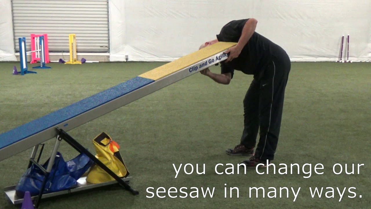 agility seesaw