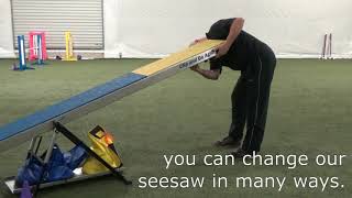 Clip and Go Seesaw Training Possibilities