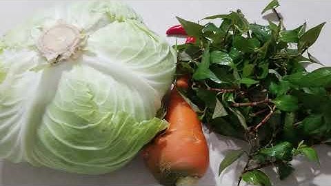 CHỈ CẦN XEM VI DEO NÀY LÀ BẠN CÓ THỂ MUỐI DƯA BẮP CẢI RAU RĂM CHUA NGỌT CHUẨN VỊ TẠI NHÀ.