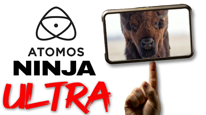 Atomos Ninja Ultra Review for Wildlife & Filmmaking (Real-World Test)