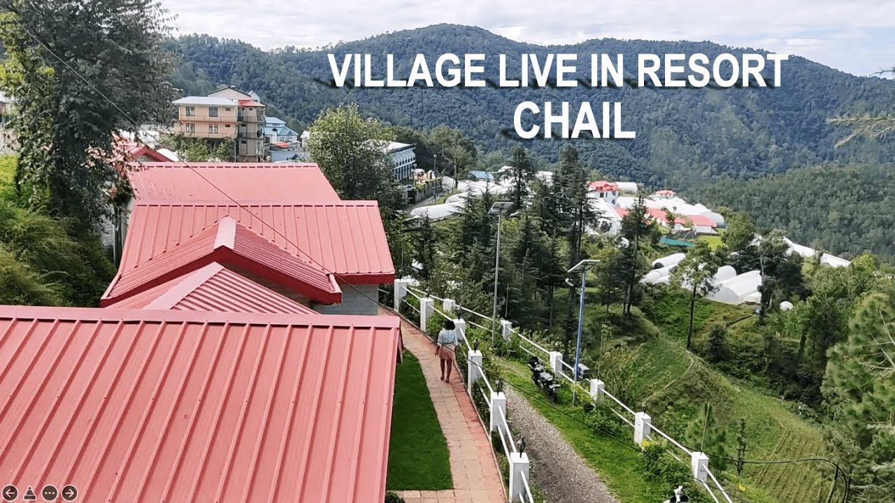 Village Live In Resort Chail | Hotel near Shimla, Kufri & Solan | Tree House in Chail