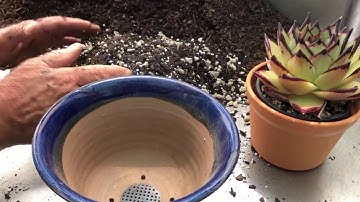 How to Make Succulent Potting Soil - Demonstration and Recipes for Different Succulents