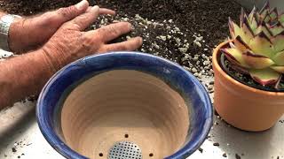 How to Make Succulent Potting Soil  Demonstration and Recipes for Different Succulents