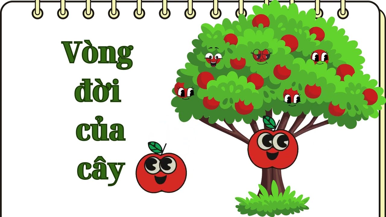 Cây lớn lên như thế nào? - Vòng đời của cây | Nana Kids TV