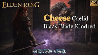 Elden Ring: Cheese | Black Blade Kindred Caelid | Full Guide (Patch 1.16.1 - 2026)
