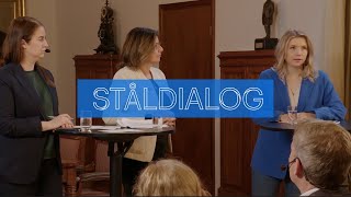 Ståldialog med Beatrice Timgren, Sverigedemokraterna