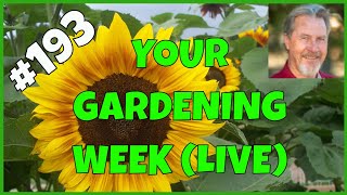 Simplify Vegetable Gardening (Q&A) screenshot 5