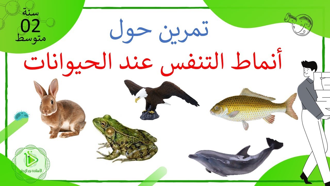 تمرين حول أنماط التنفس عند الحيوانات علوم طبيعية سنة 02 متوسط