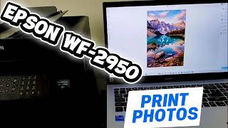 Epson WF 2950: How to Print High-Quality Photos from Your Computer (Paper Settings & Tips)