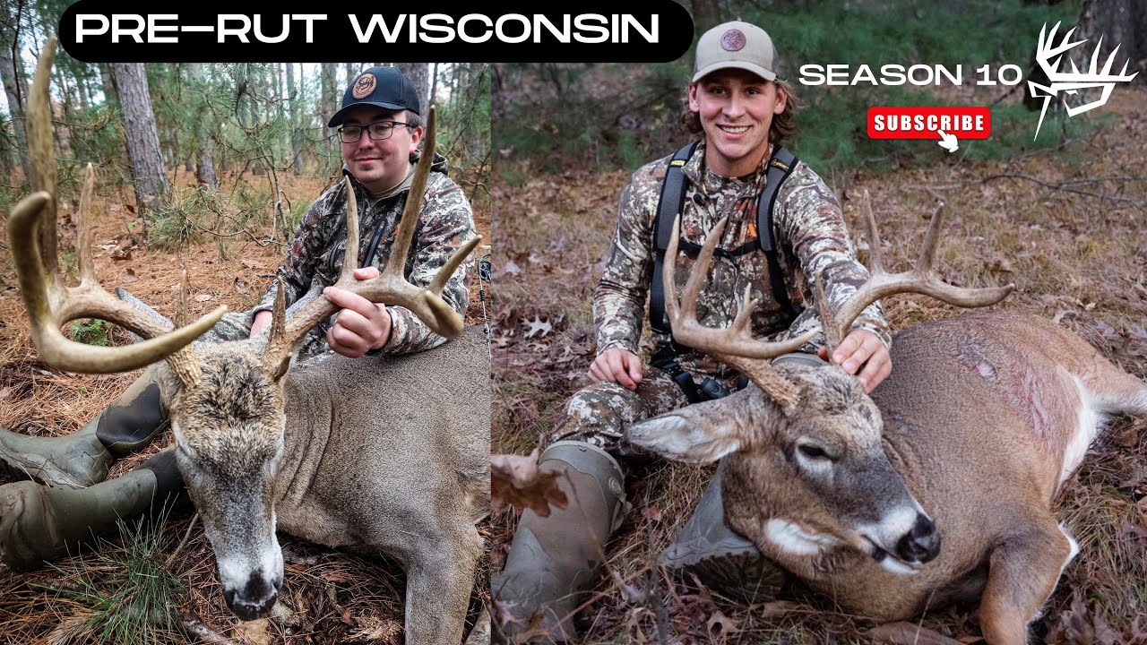 Wi Whitetail Rut Bowhunting Pre-Rut Whitetails Wisconsin - YouTube