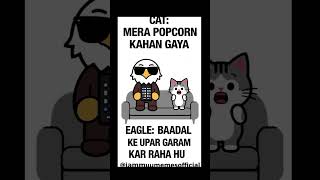 FUNNY TALK EAGLE VS CAT #funnyviralvideo #crypto #cat #memesdaily