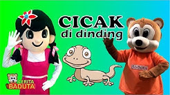 Cicak Cicak Di Dinding Lagu Anak Indonesia Populer  - Durasi: 2:17. 