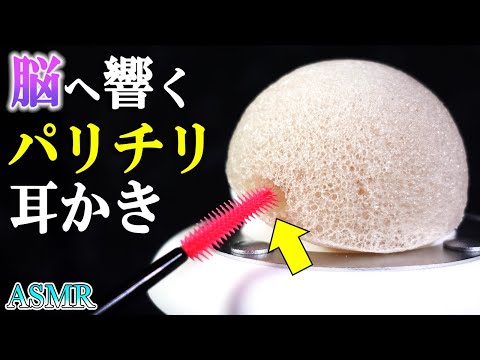 【耳かきASMR】鼓膜が震えて眠くなるガリガリ・パリパリ蒟蒻パフの睡眠用耳かき音（片耳・両耳）?ステンレス耳かき・マスカラブラシ・綿棒で寝る【音好き】 / Sleepy Ear Cleaning