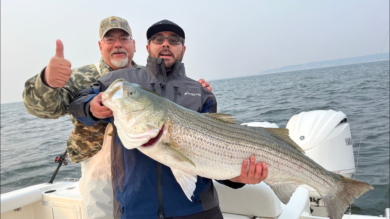 40+” Striped Bass on Bunker and Flutter Spoons YouTube
