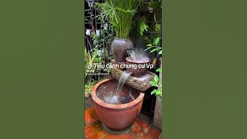 tiểu cảnh chung cư văn phòng #tieucanhchungcu , #tieucanhvanphong