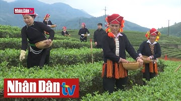 Chăm lo đời sống, tạo động lực phát triển vùng đồng bào dân tộc thiểu số | 6 vùng kinh tế