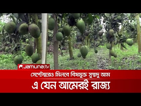 ভিডিও: প্লাম সেরা জাত