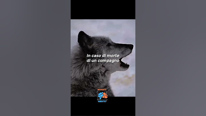 #shorts Vivi Come un Lupo: Libero e Fiero