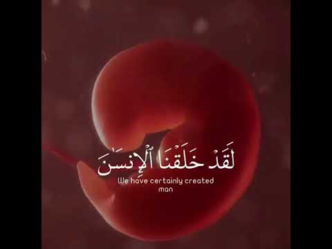 لقد خلقنا الانسان في احسن تقويم