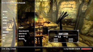 Skyrim - Labyrinthian - Part 1/2