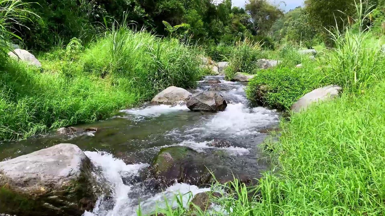 Tranquil River Flow – 10 Hours of Water ASMR  - Stress, Anxiety Relief & Meditation Sounds