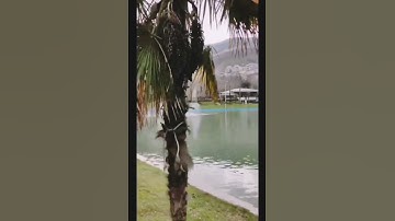 سورة الزلزله الشيخ (ماهر المعيقلي)
