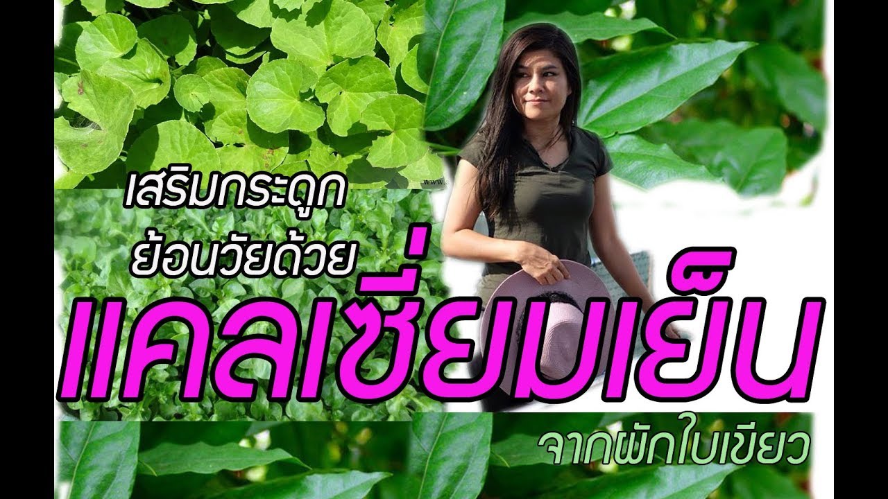 ผักที่มีฤทธิ์เย็น New สมุนไพรฤทธิ์เย็น แคลเซี่ยมสูง วิตามินซีสูง เพิ่มมวลกระดูก ย้อนวัยให้สดใสในราคาแสนถูก
