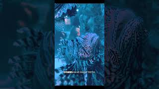 Sunlight Has Never Reached This Place 💀 #shorts #ytshorts #ytviral #shortvideo