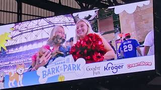 Showcase of dogs at Texas Rangers Bark in the Park 6/3/24