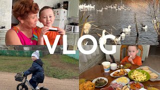 картинка: VLOG 🧸 КАТАЕМСЯ НА ВЕЛИКЕ С СЫНОМ ПО ДЕРЕВНЕ