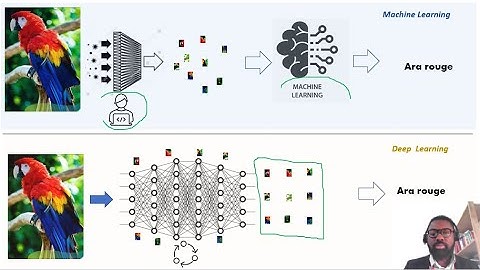 IA Expliquée : Machine Learning vs. Deep Learning 🤖💡Différence fondamentale.