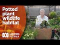 Creating a wildlife habitat in a pot for small space gardens | Gardening 101 | Gardening Australia