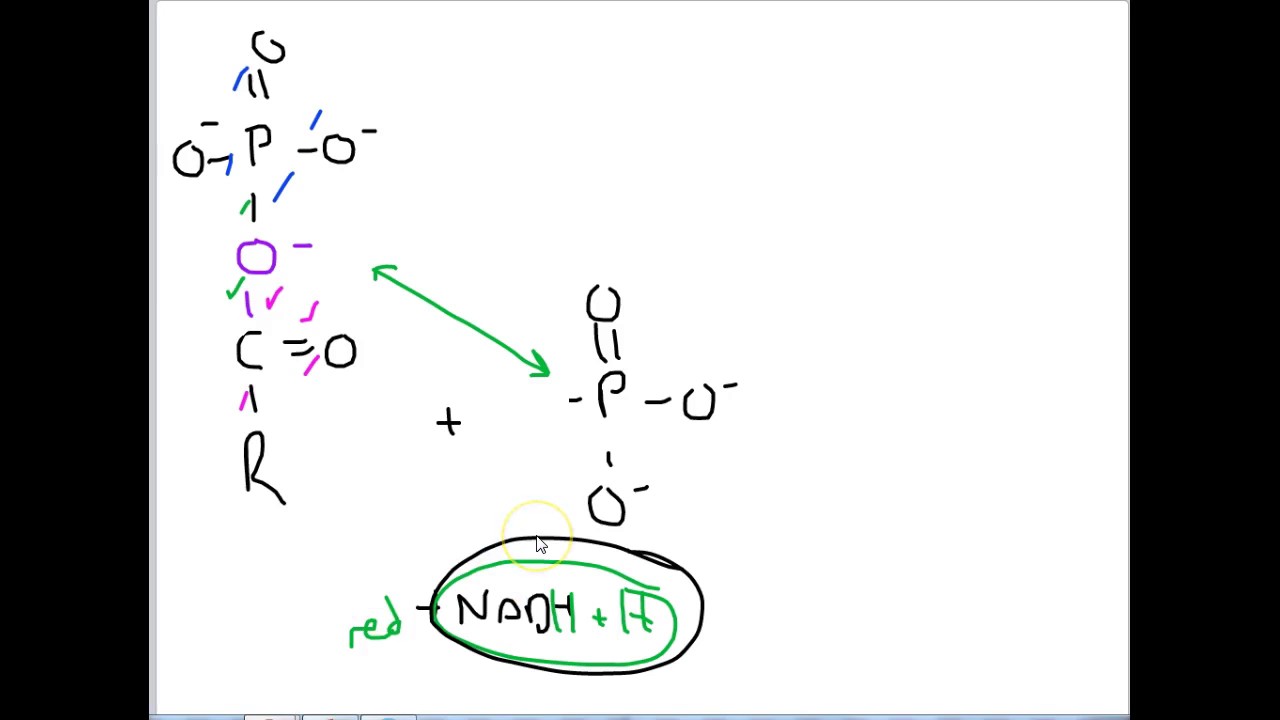 Step 6 of Glycolysis AND the PDC