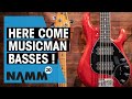 Music Man NAMM 2020 | New Stingray Special Basses | Thomann