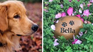 Pet Memorial - River Stone with urn for ashes