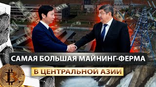Инвестор вместо постройки ГЭС поставил в Кыргызстане огромную майнинг-ферму