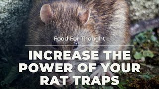 How To Add Killing Power To Rat Trap.