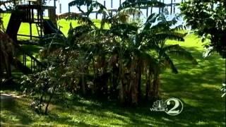 Distraction thieves strike again in Volusia County