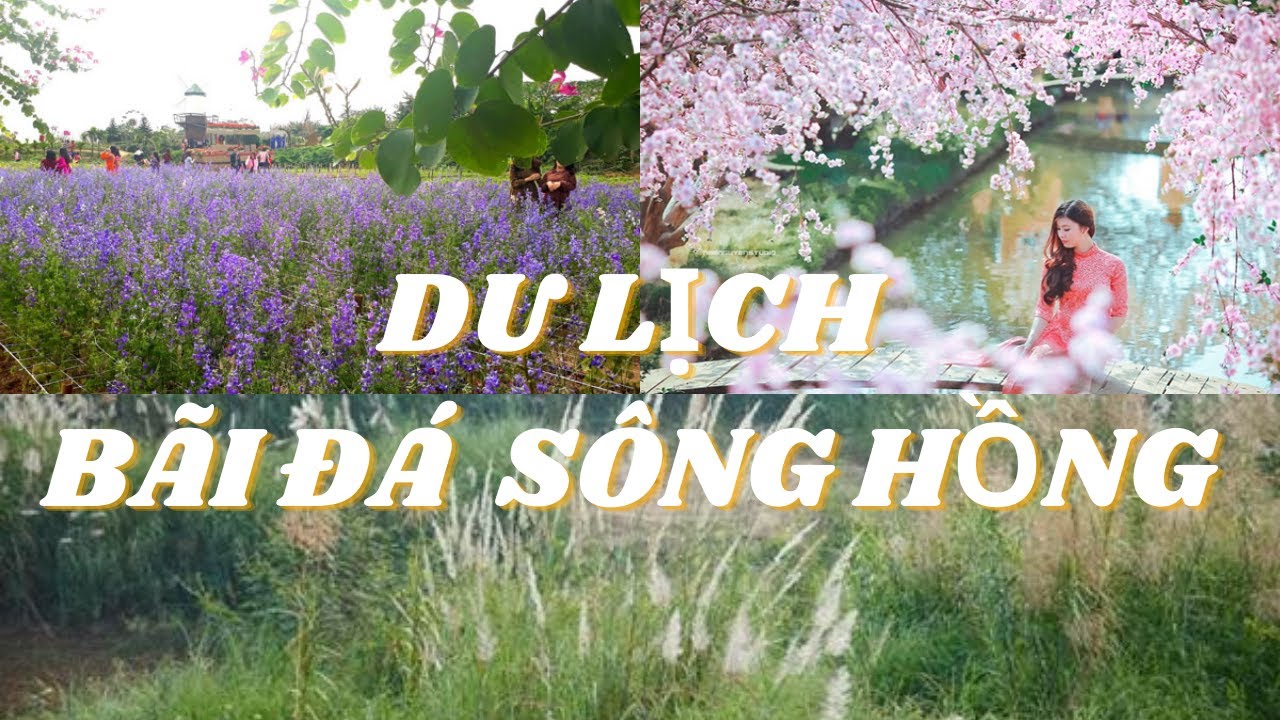 Mr 102 Chia sẻ, review thực tế địa điểm tham quan Bãi đá Sông Hồng tại Hà Nội không nên bỏ qua