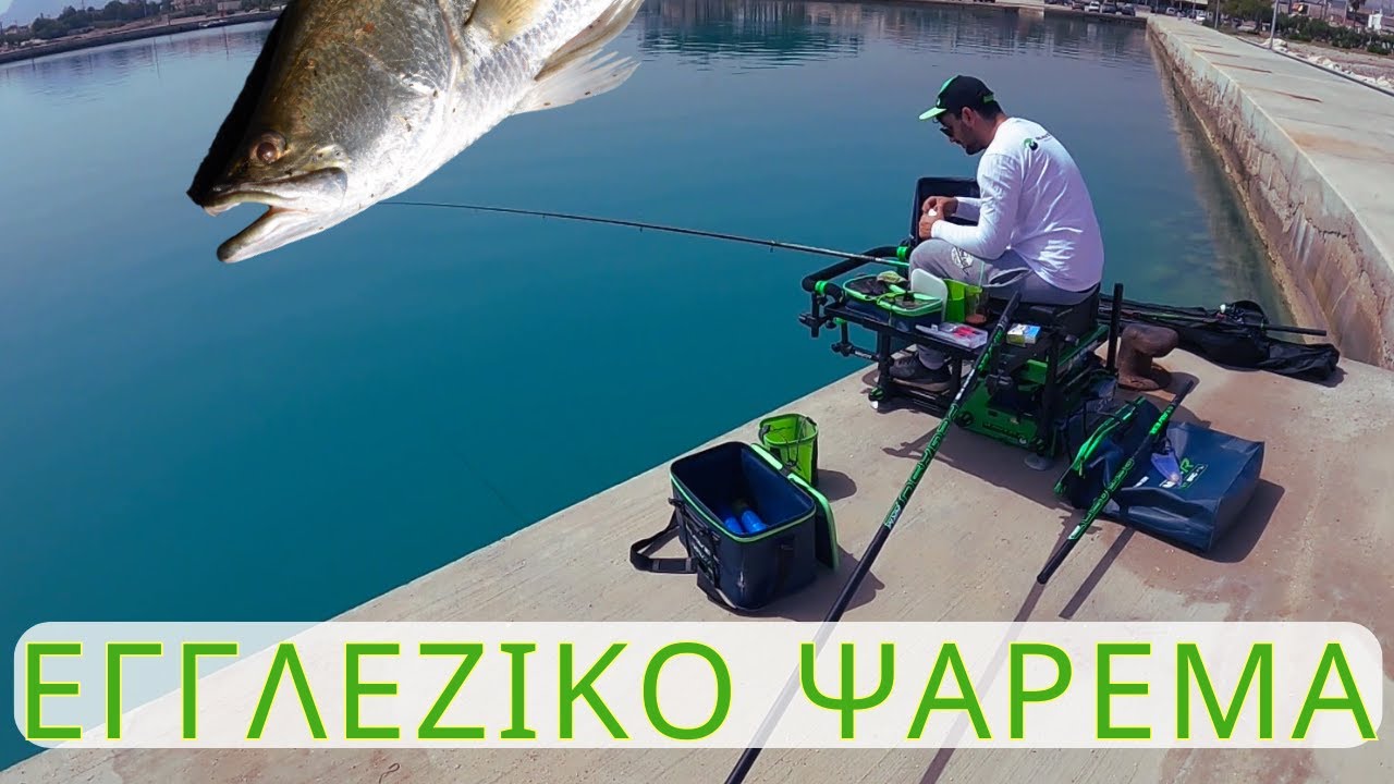 ΕΓΓΛΕΖΙΚΟ ΨΑΡΕΜΑ ΣΤΟ ΒΡΑΧΑΤΙ