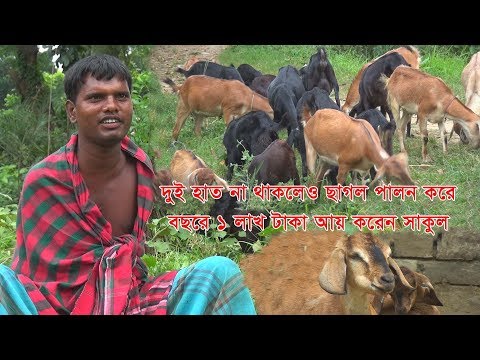 ২ হাত না থাকলেও ছাগল পালন করে বছরে ১ লাখ টাকা আয় করেন সাকুল