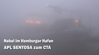 Nebel im Hamburger Hafen