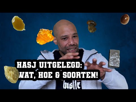 Hasj uitgelegd: Wat, Hoe & Soorten!