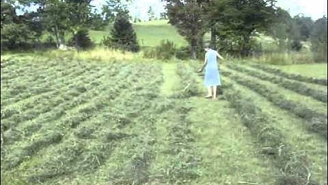 Hay In A Day - Part 1
