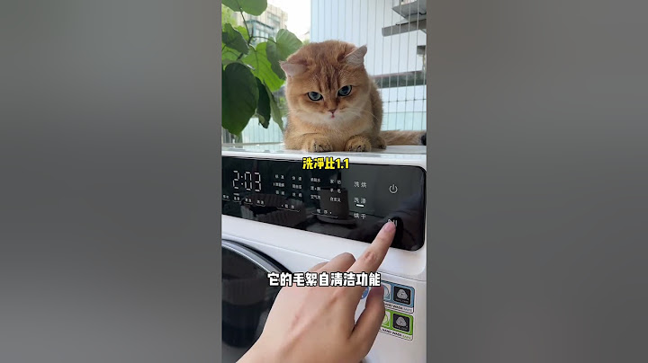 这凉席真是防猫神器哈哈哈哈！结尾看你还怎么睡我身上！#金渐层#猫咪的迷惑行为#石头洗衣机#石头H1Air