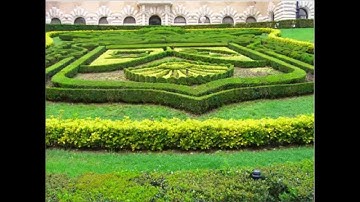 سورة الاخلاص بصوت سعد الغامدي مترجمة انجليزي English Quran