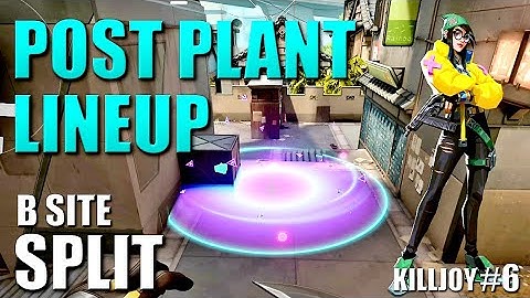 KILLJOY LINEUPS - SPLIT - Post Plant Molly Nanoswarm Setup Guide #6 - B Site - Default